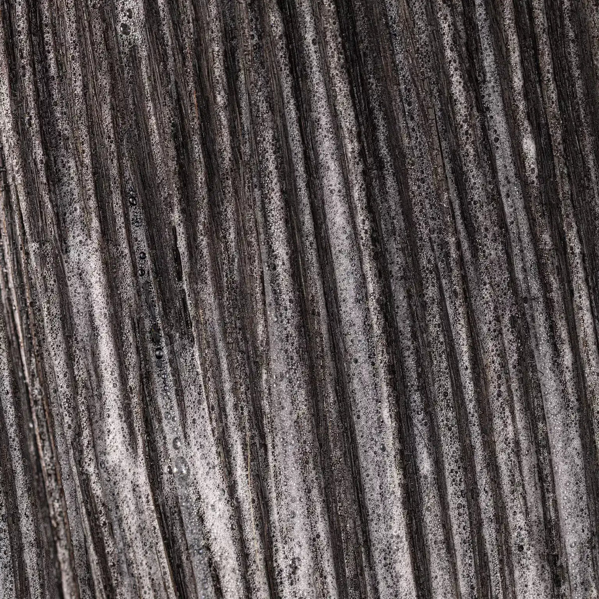 Nanoworks Gold Shampoo